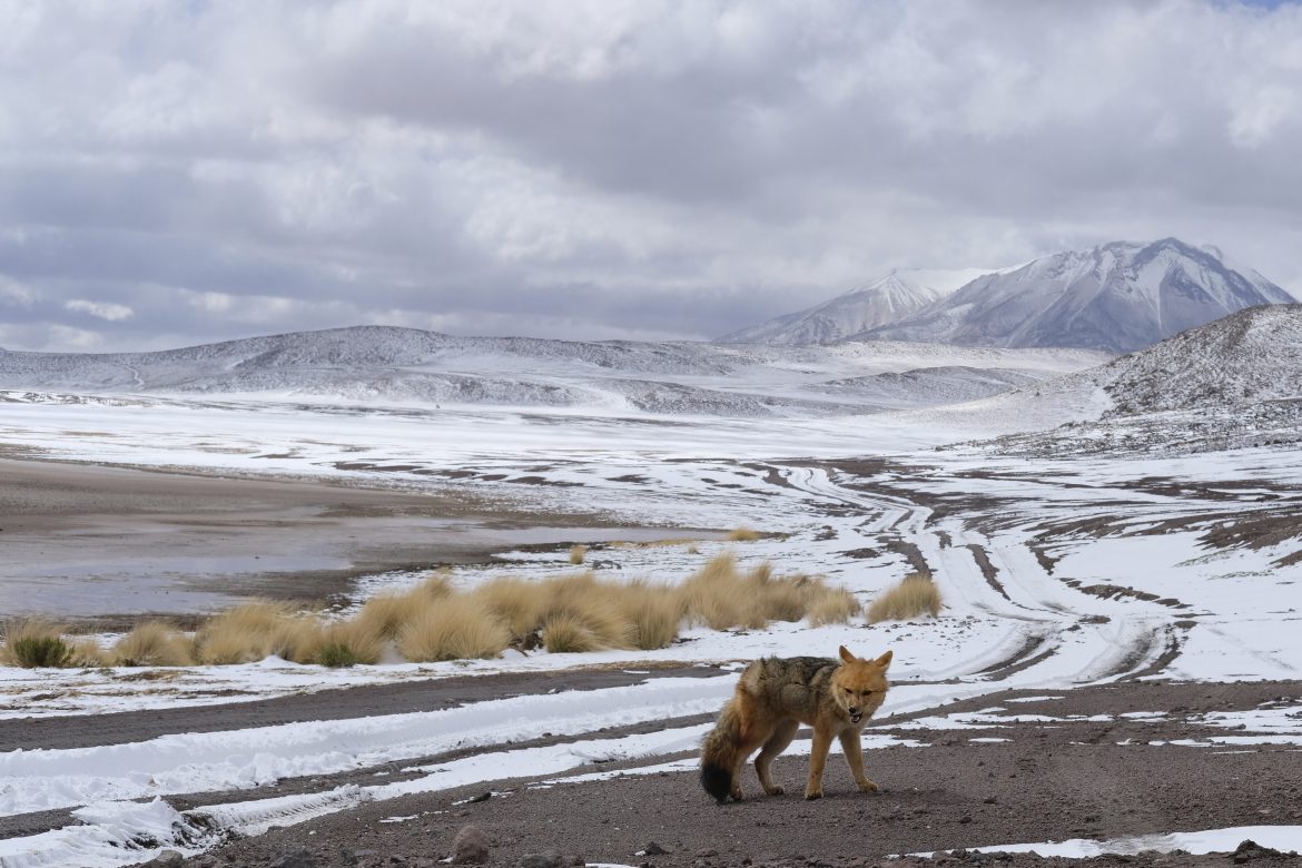 BOLIVIA CON FUJIFILM X-T20