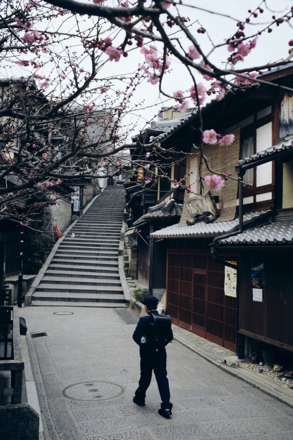 “Japan in love”, la ilusión de hacer tu viaje soñado