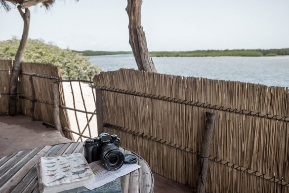 Ruta fotográfica por Gambia y Senegal