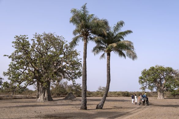Ruta fotográfica por Gambia y Senegal