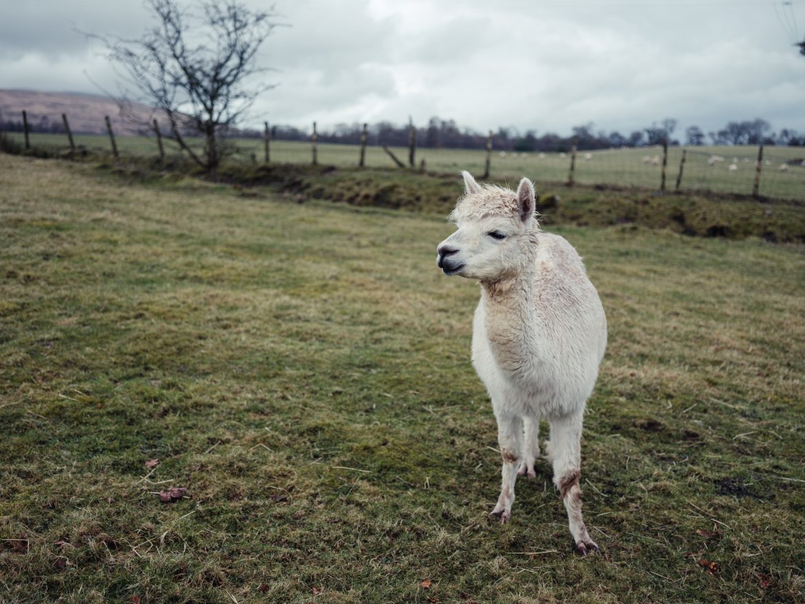 Mis viajes favoritos