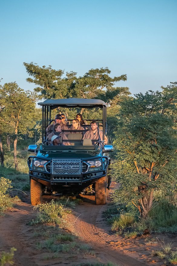 Safari en Sudáfrica con Fujinon XF100-400mmF4.5-5.6 R LM OIS WR