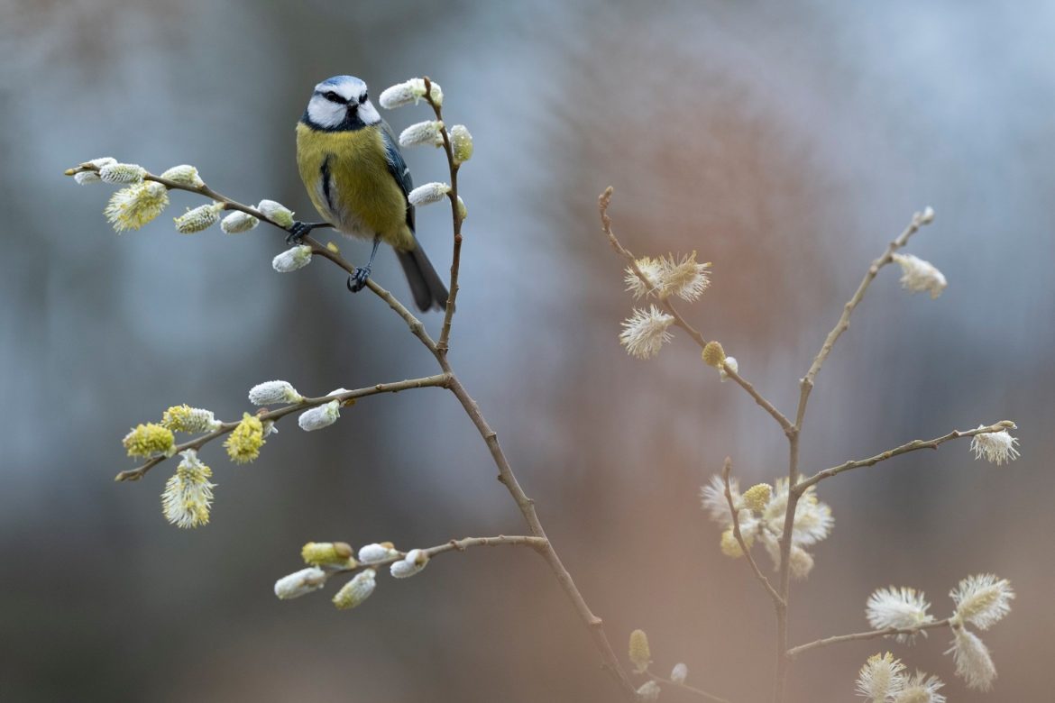 Fotos RAF Kiko Arcas – #encasaconfujifilm